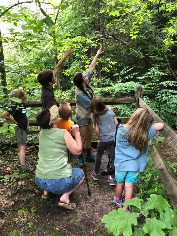 33776689_887223761459577_7785729024117964800_n